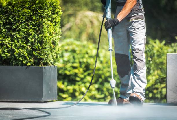 Best Pre-Holiday Cleaning  in Splendora, TX
